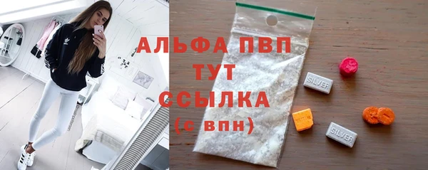 дмт Новодвинск